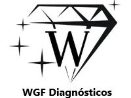 wgfdiagnosticos.com